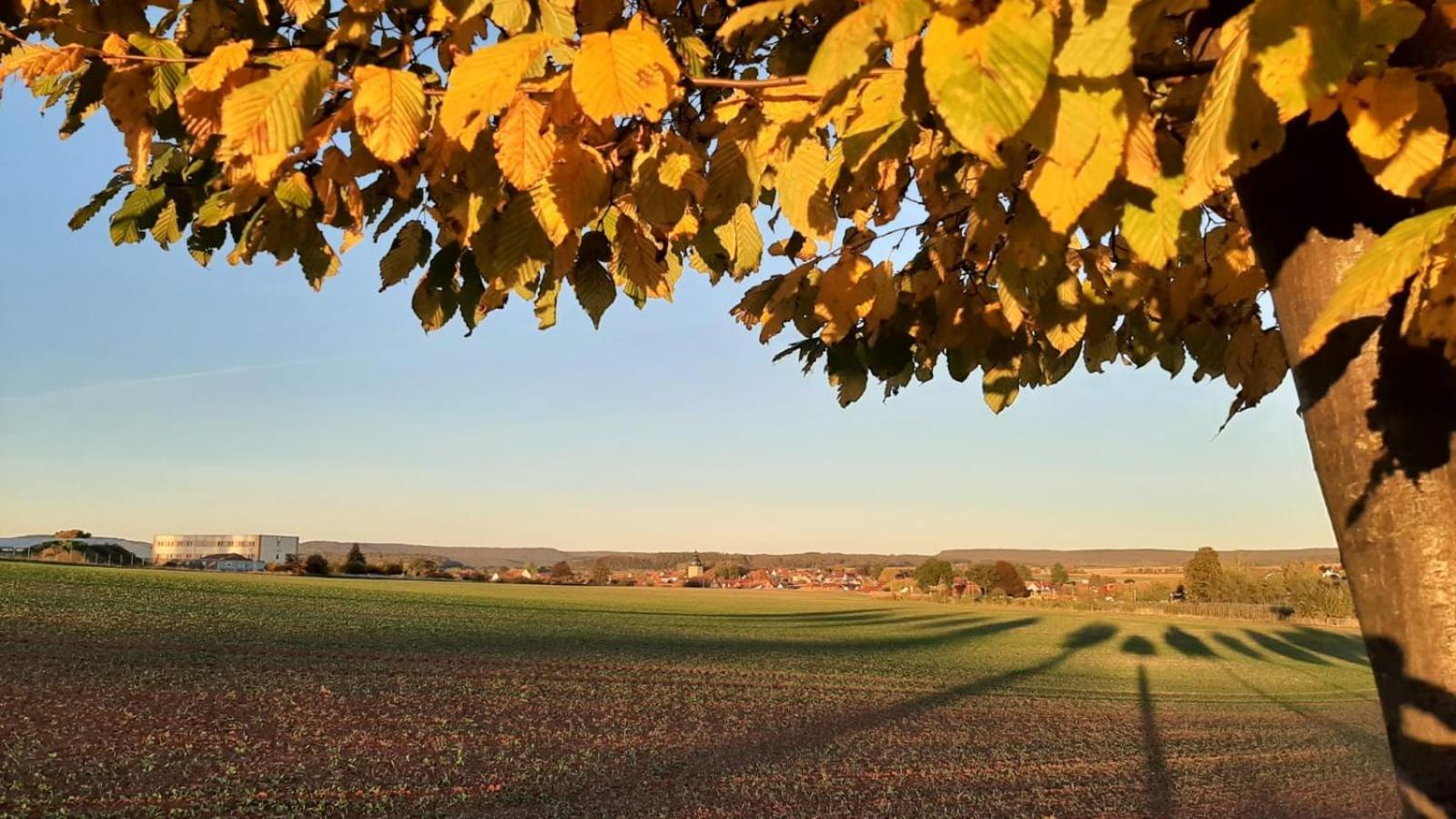 Stilvolle Ferienwohnung Im Eichsfeld Niederorschel 外观 照片
