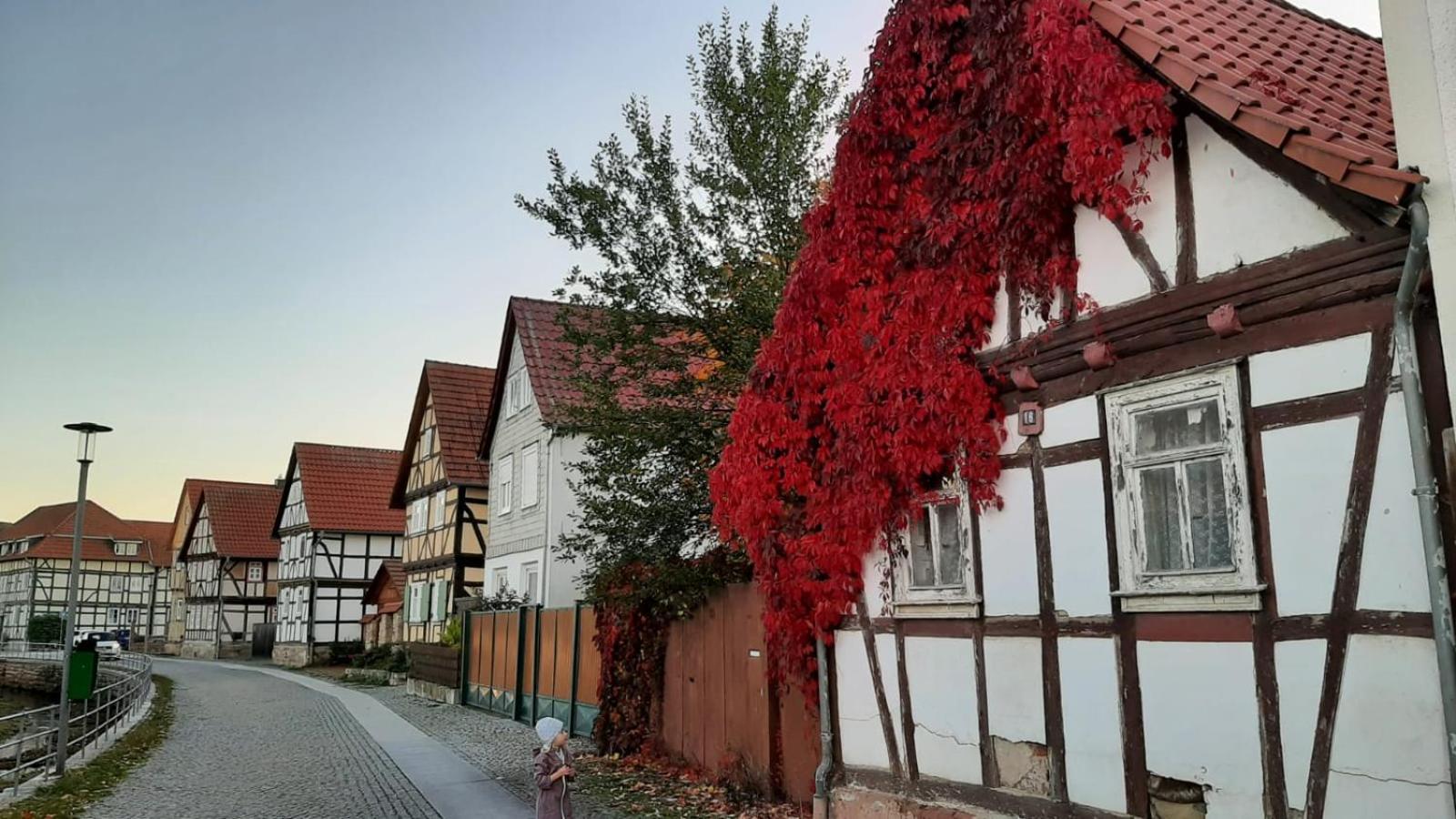 Stilvolle Ferienwohnung Im Eichsfeld Niederorschel 外观 照片